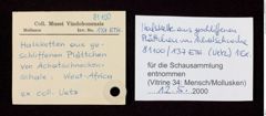 Etikett zu Halskette aus Blättchen der Achat-Schnecke (NHMW-ZOO-MO-0081100-ETH-137)